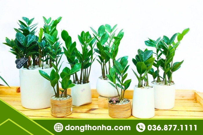 Hướng nhà đẹp cho mệnh kim - Mệnh kim hợp hướng làm việc nào?