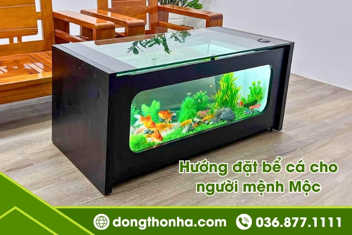 Hướng nhà đẹp cho mệnh mộc - Hướng đặt bể cá cho người mệnh mộc