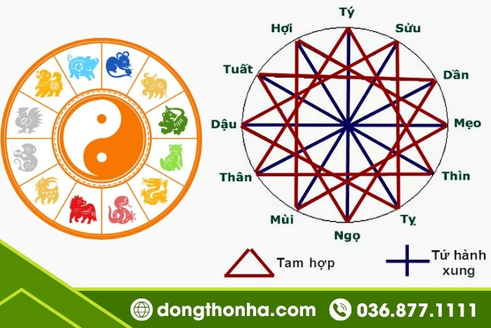 Năm 2024 tuổi nào làm nhà được nhiều may mắn, tài lộc? - Tam hợp và tứ xung của năm Giáp Thìn 2024