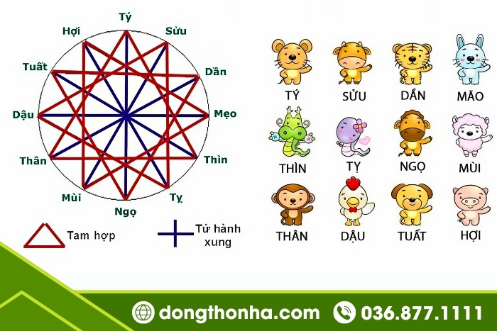 Năm 2025 tuổi nào làm nhà đẹp nhất? - Tam hợp và tứ hành xung